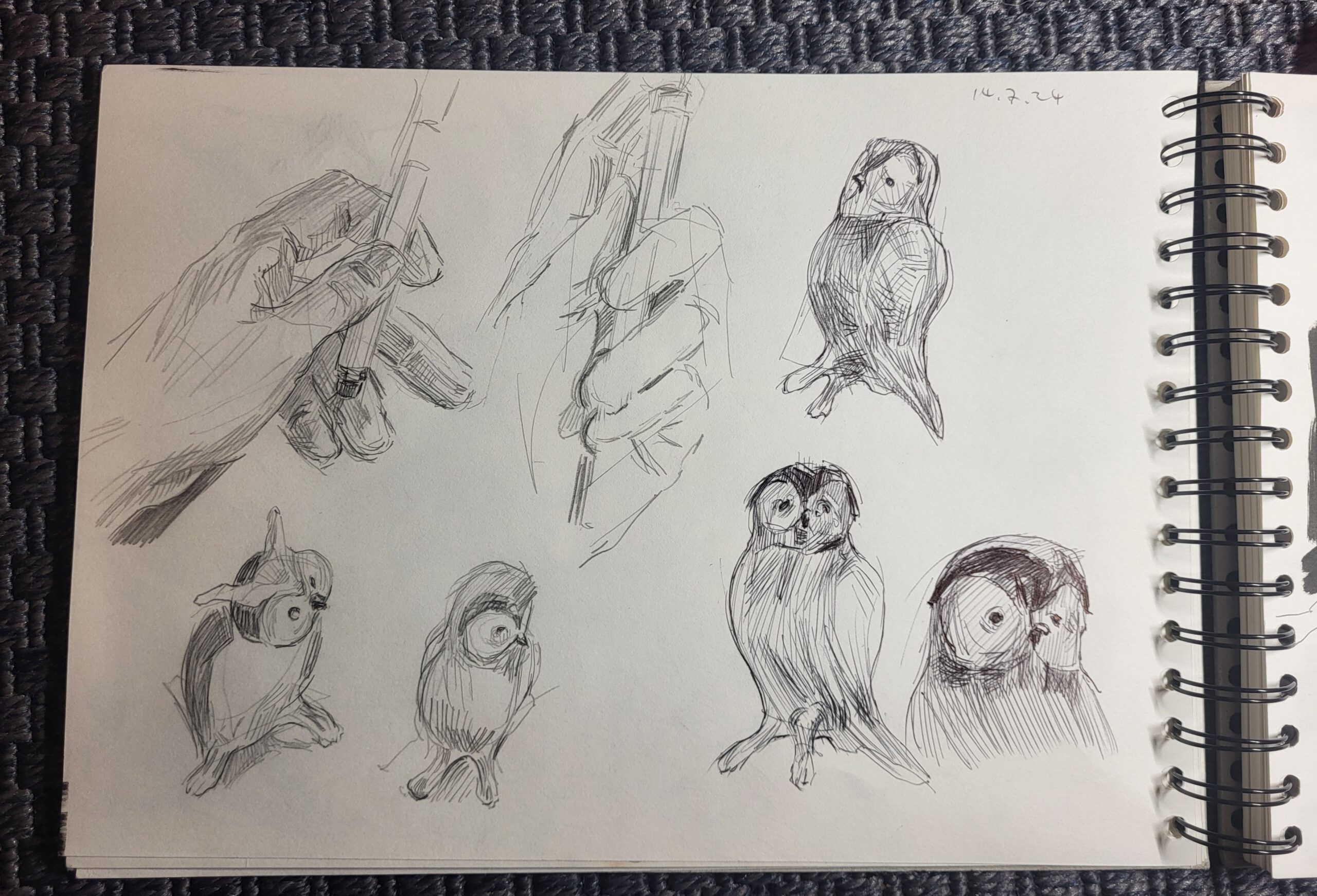 Skizzenbuch Studie Hand und Glaseulen